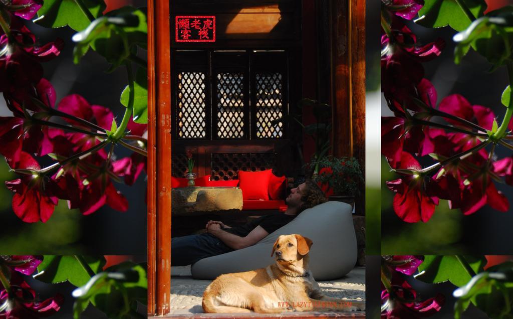 ليجيانغ Lazy Tiger Inn المظهر الخارجي الصورة